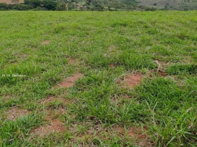 Sítio e chácara venda em Região Geográfica Imediata de Oliveira, Oliveira
