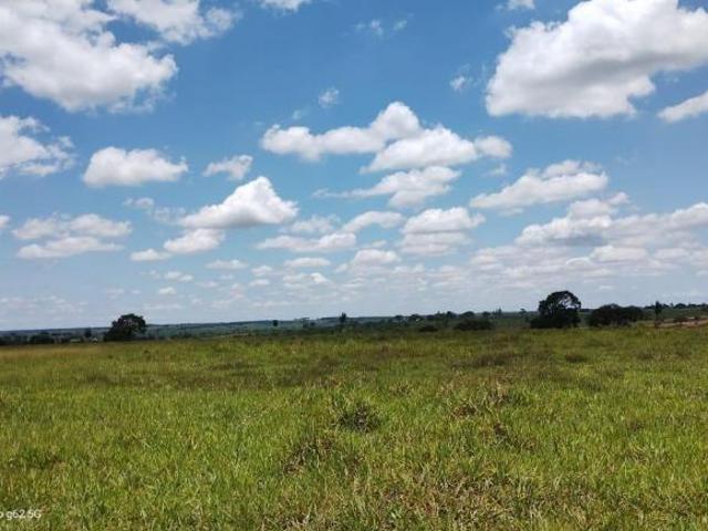 Sítio e chácara venda em Região Imediata de Jales, Jales