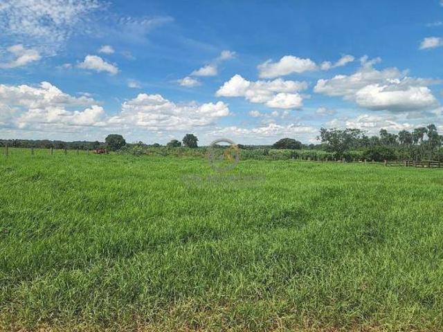 Sítio e chácara venda em Itarumã, Região Geográfica Intermediária de Rio Verde