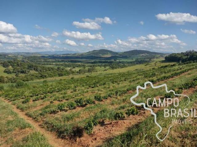 Sítio e chácara venda em Região Geográfica Imediata de São Lourenço, Conceição do Rio Verde