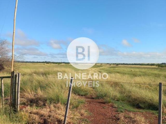 Sítio e chácara venda em Região Geográfica Imediata de Santa Maria, São Vicente do Sul