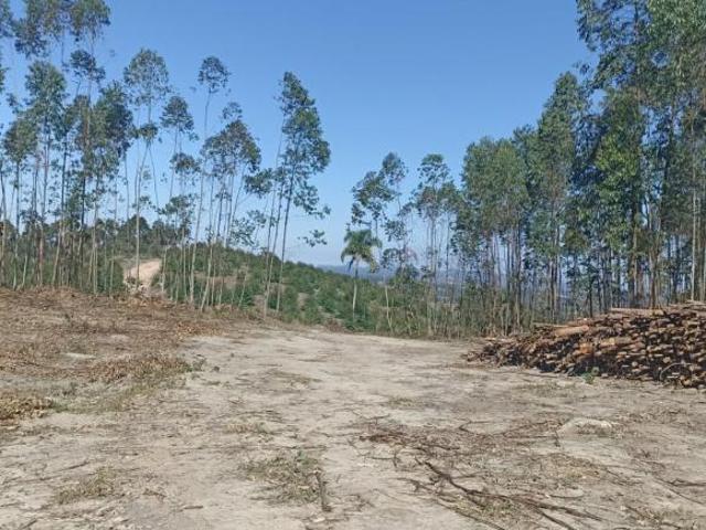 Sítio e chácara venda em Região Imediata de São Paulo, Região Metropolitana de São Paulo