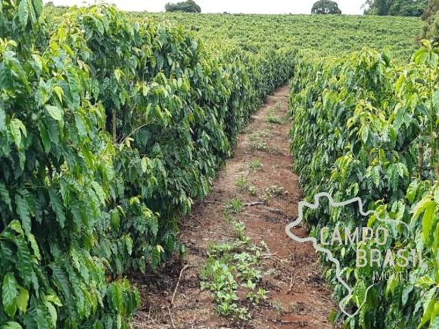 Sítio e chácara venda em Região Geográfica Imediata de Alfenas, Machado