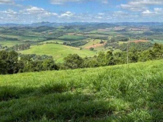 Sítio e chácara venda em Região Geográfica Imediata de Pouso Alegre, Silvianópolis