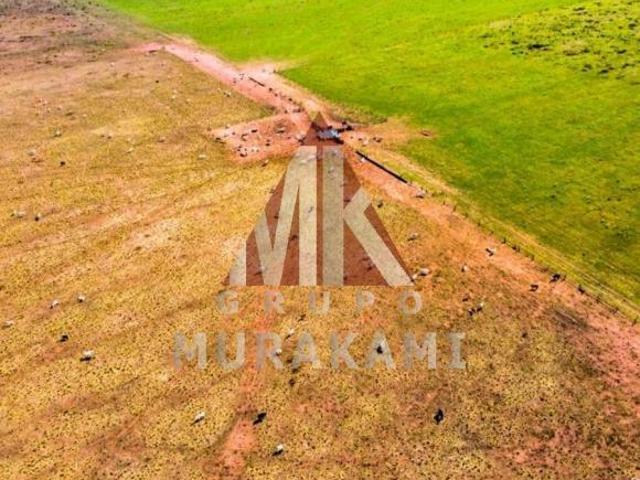 Sítio e chácara venda em Região Geográfica Imediata de Aquidauana - Anastácio, Aquidauana