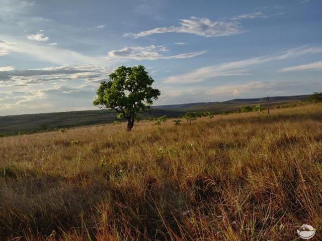 Sítio e chácara venda em Região Geográfica Imediata de Unaí, Arinos