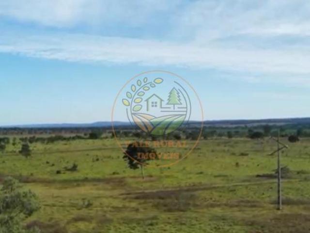 Sítio e chácara venda em Região Geográfica Imediata de Catalão, Ipameri