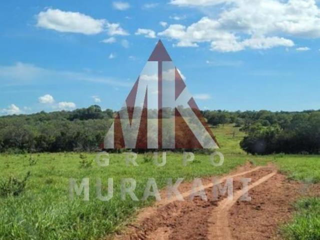 Sítio e chácara venda em Região Geográfica Imediata de Rondonópolis, Itiquira