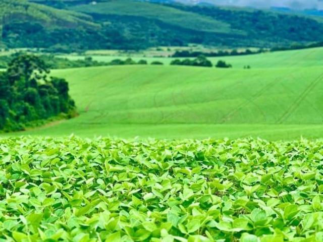 Sítio e chácara venda em Região Geográfica Imediata de Pouso Alegre, Ipuiúna