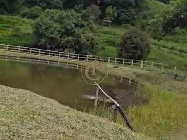 Sítio e chácara venda em Região Imediata de Taubaté-Pindamonhangaba, Região Metropolitana do Vale do Paraíba e Litoral Norte