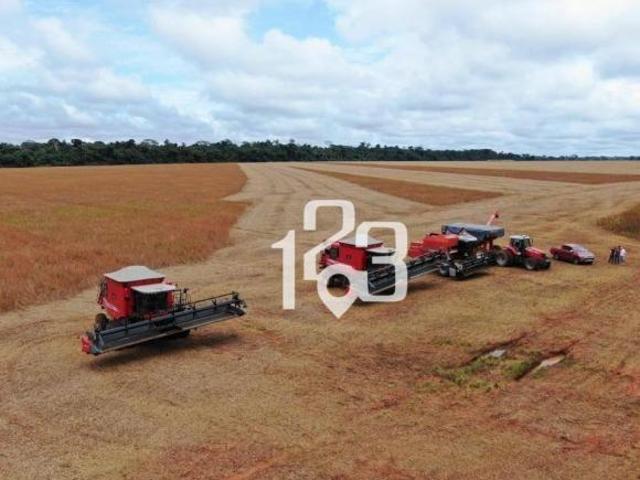 Sítio e chácara venda em Região Geográfica Imediata de Juara, Juara