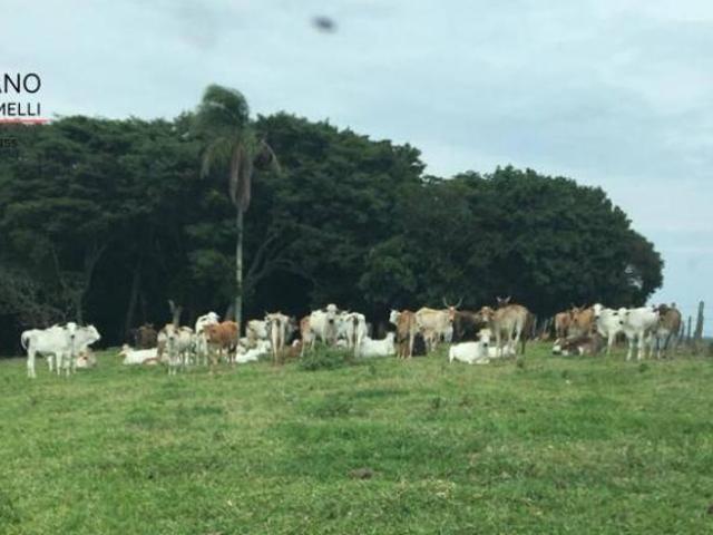 Sítio e chácara venda em Região Imediata de Bragança Paulista, Tuiuti