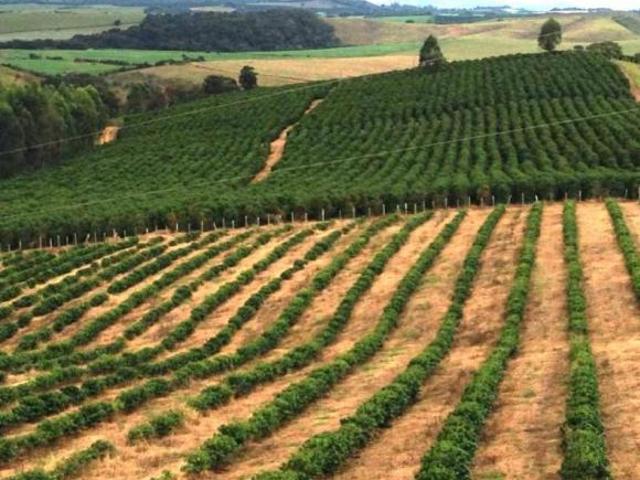 Sítio e chácara venda em Região Geográfica Imediata de São Lourenço, Carmo de Minas