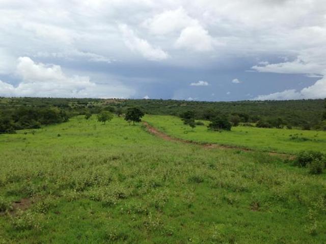 Sítio e chácara venda em Região Geográfica Imediata de Unaí, Bonfinópolis de Minas
