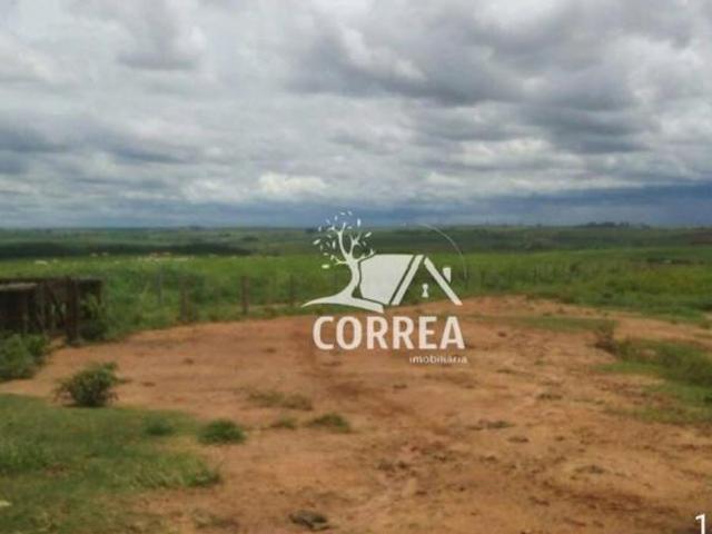 Sítio e chácara venda em Região Imediata de Birigui-Penápolis, Penápolis
