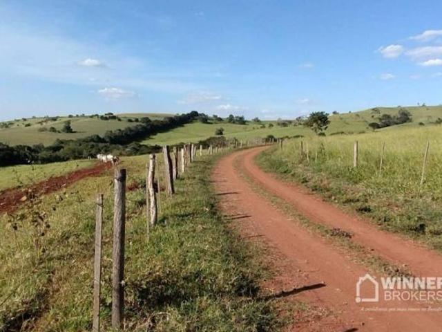 Sítio e chácara venda em Região Geográfica Imediata de Cornélio Procópio-Bandeirantes, Nova Fátima