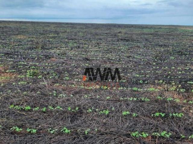 Sítio e chácara venda em Região Geográfica Imediata de Confresa - Vila Rica, São José do Xingu