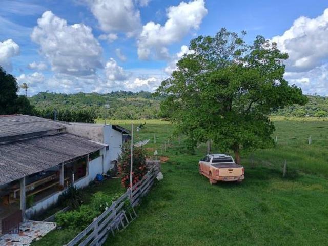 Sítio e chácara venda em Região Geográfica Imediata de Alta Floresta, Alta Floresta