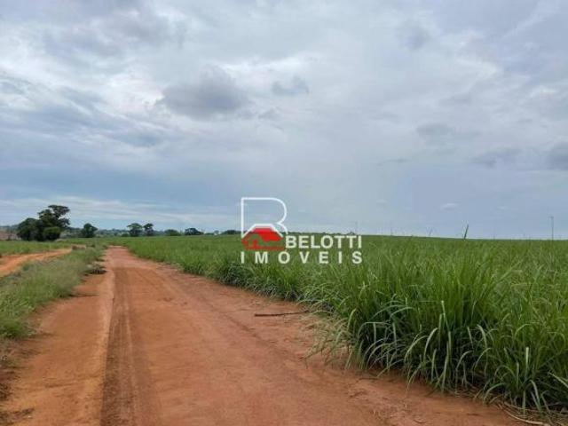 Sítio e chácara venda em Região Imediata de Araraquara, Araraquara