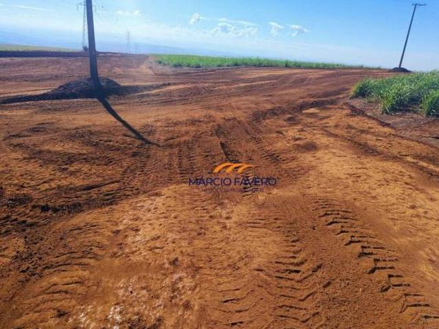 Sítio e chácara venda em Região Imediata de Ribeirão Preto, Região Metropolitana de Ribeirão Preto