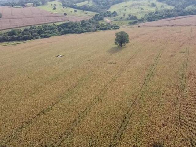 Sítio e chácara venda em Região Geográfica Imediata de Rio Verde, Montividiu
