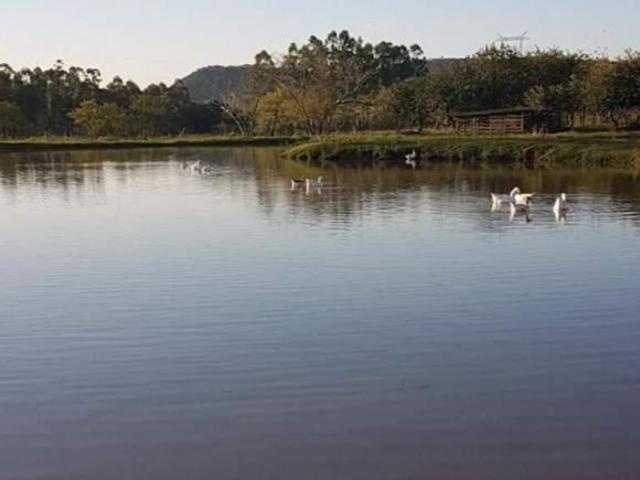 Sítio e chácara venda em Região Geográfica Imediata de Cornélio Procópio-Bandeirantes, Leópolis