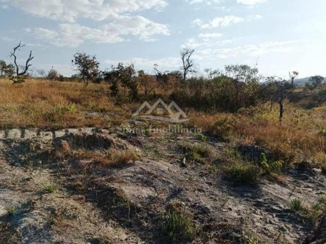 Sítio e chácara venda em Região Geográfica Imediata de Patos de Minas, Presidente Olegário