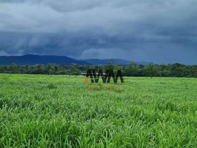 Sítio e chácara venda em Região Geográfica Imediata de Água Boa, Ribeirão Cascalheira