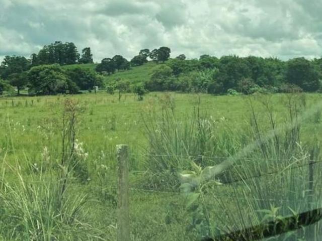 Sítio e chácara venda em Região Geográfica Imediata de Pouso Alegre, São Sebastião da Bela Vista
