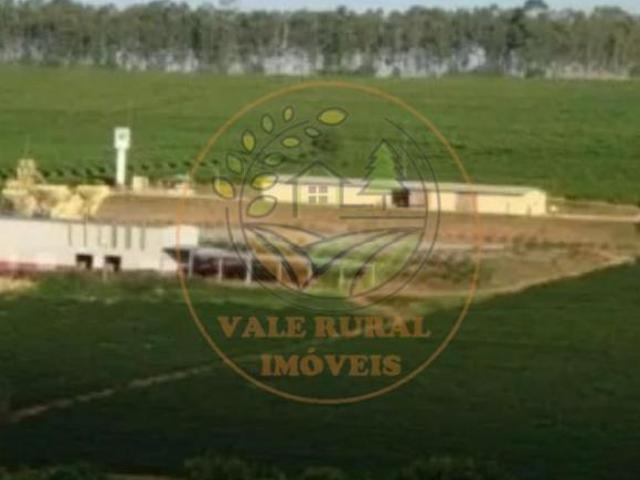 Sítio e chácara venda em Região Geográfica Imediata de Piumhi, Jerumenha