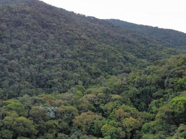 Sítio e chácara venda em Região Imediata de Campinas, Região Metropolitana de Campinas