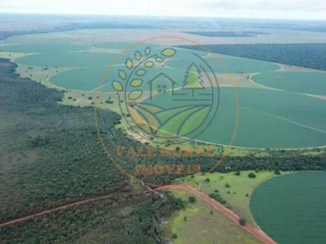 Sítio e chácara venda em Região Geográfica Imediata de Goiás - Itapuranga, Jussara