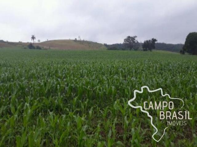 Sítio e chácara venda em Região Imediata de Taubaté-Pindamonhangaba, Região Metropolitana do Vale do Paraíba e Litoral Norte
