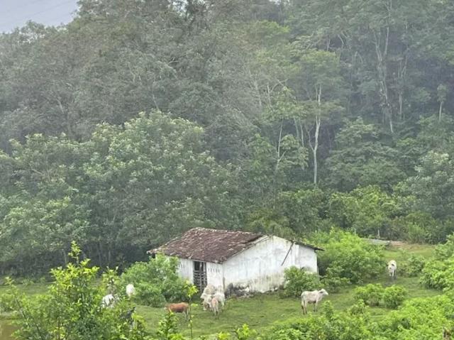 Fazenda venda em Ibirataia, Região Nordeste