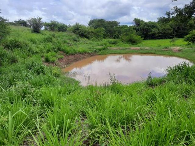 Sítio e chácara venda em Região Geográfica Imediata de Montes Claros, Joaquim Felício