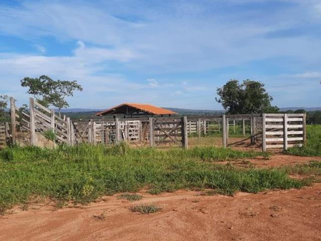 Sítio e chácara venda em Região Geográfica Imediata de Montes Claros, Joaquim Felício