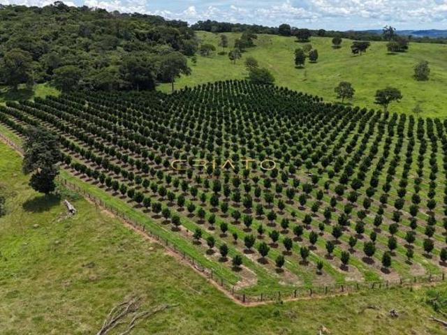 Sítio e chácara venda em Região Geográfica Imediata de Anápolis, Anápolis