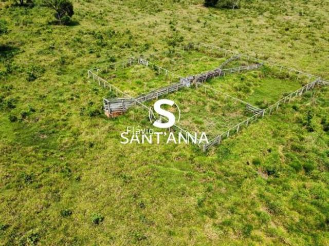 Sítio e chácara venda em Região Geográfica Imediata de Campo Grande, Ribas do Rio Pardo
