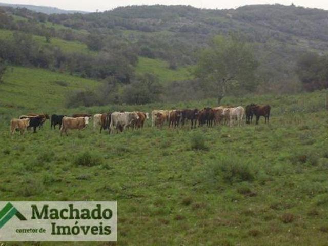 Sítio e chácara venda em Região Geográfica Imediata de São Gabriel - Caçapava do Sul, Cacapava do Sul