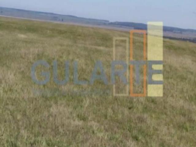 Sítio e chácara venda em Região Geográfica Imediata de Santa Maria, São Vicente do Sul