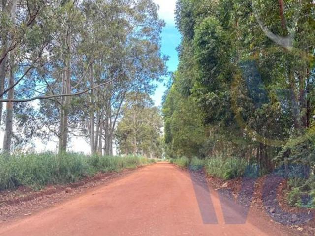 Sítio e chácara venda em Região Geográfica Imediata de Anápolis, Anápolis