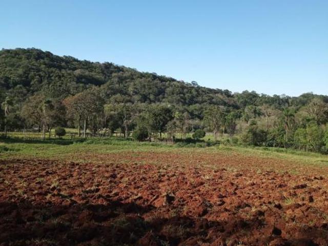 Sítio e chácara venda em Região Geográfica Imediata de Santa Cruz do Sul, Vera Cruz