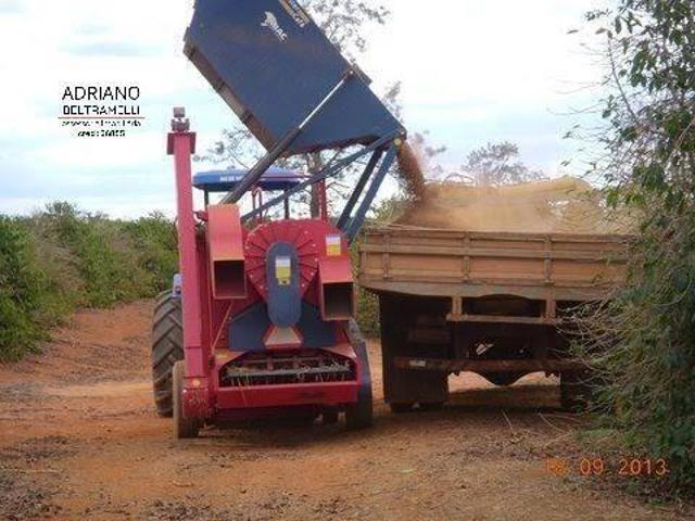 Sítio e chácara venda em Região Geográfica Imediata de Teófilo Otoni, Novo Cruzeiro