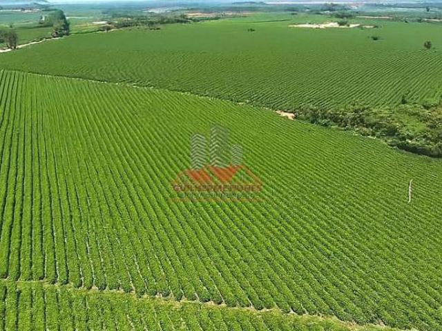 Sítio e chácara venda em Região Geográfica Imediata de Piumhi, Jerumenha