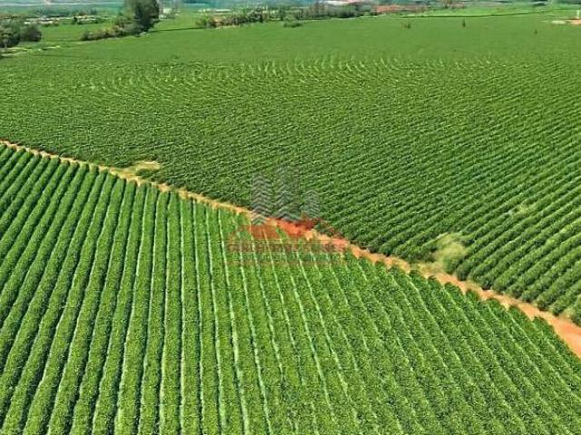 Sítio e chácara venda em Região Geográfica Imediata de Piumhi, Jerumenha