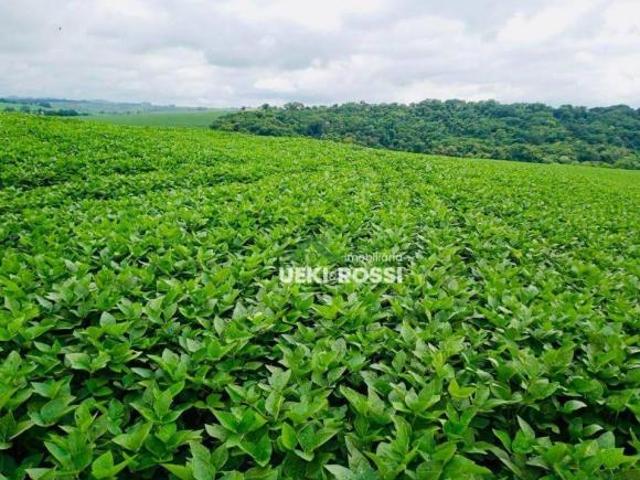 Sítio e chácara venda em Região Geográfica Imediata de Londrina, Sertanópolis