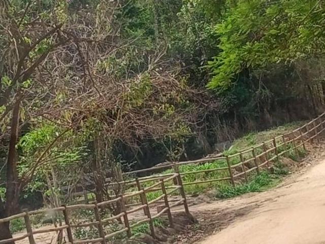 Sítio e chácara venda em Região Geográfica Imediata de Pará de Minas, Pará de Minas