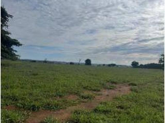 Sítio e chácara venda em Região Geográfica Imediata de São Luís de Montes Belos, Sanclerlândia