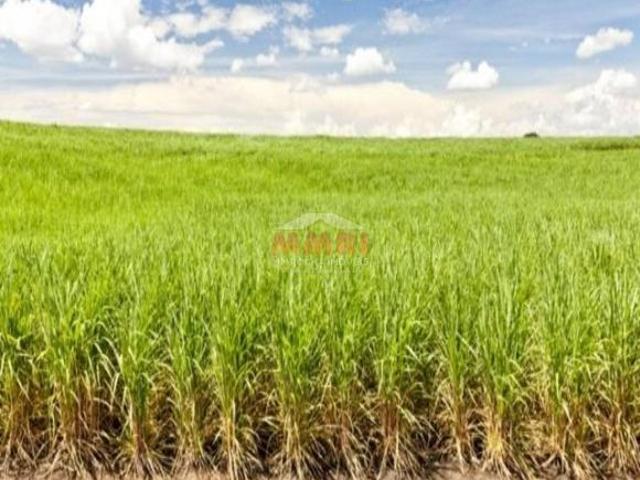 Sítio e chácara venda em Região Imediata de Sorocaba, Região Metropolitana de Sorocaba