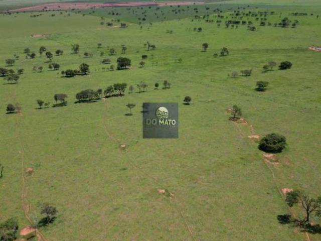 Sítio e chácara venda em Região Geográfica Imediata de Campo Grande, Camapuã